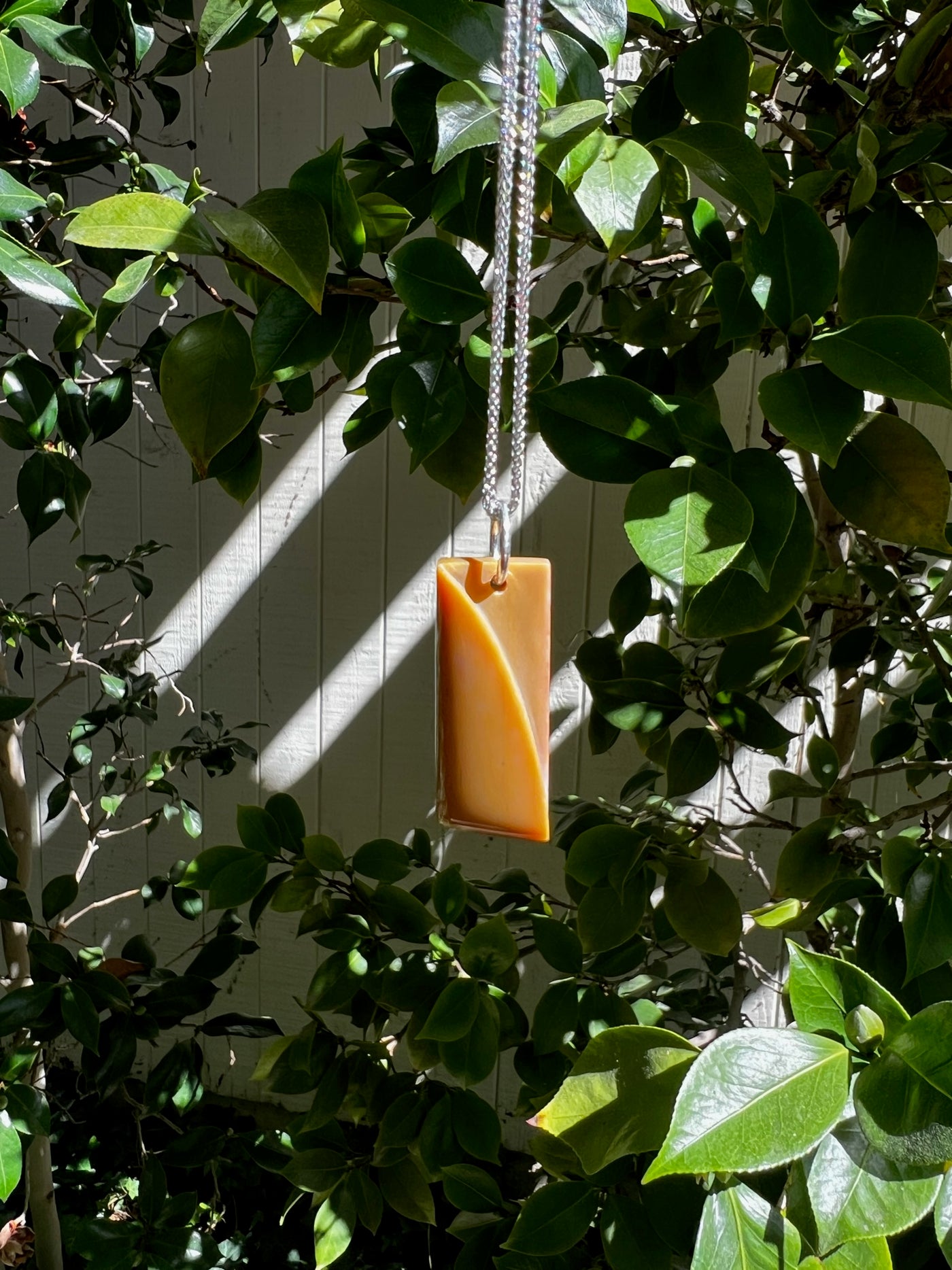 Petrified Wood Carved Pendant