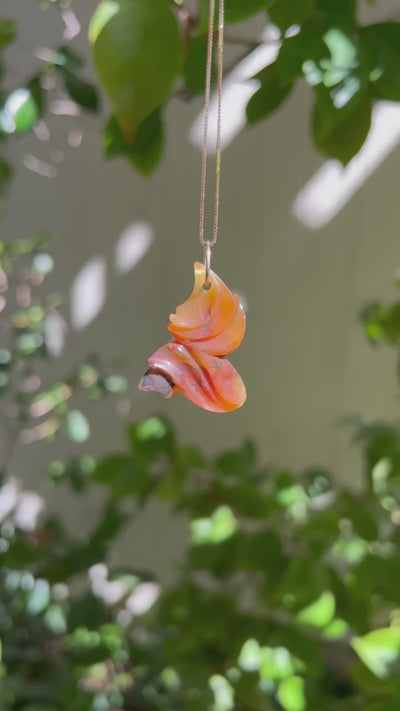 Brazilian Agate Carved Pendant