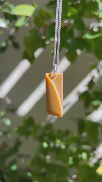 Petrified Wood Carved Pendant